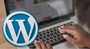 Advanced wordpress development course by speedlink hi-tech solutions Advanced wordpress design full course